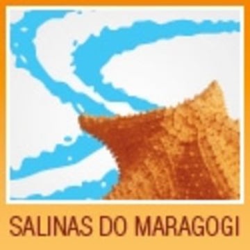 Vimeo profile picture for @salinas