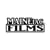 MAINEiac Films