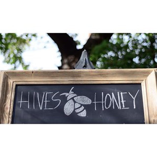 Hives and Honey