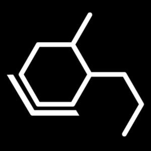 Profile picture for the hive