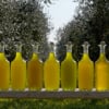 Colonna Olive Oil
