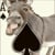 A** of Spades