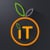 iT_DES