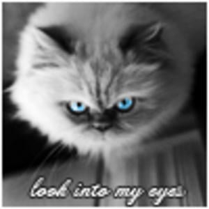 Profile picture for MMT Admin