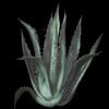 Les Sciences Naturelles