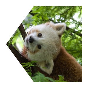 Profile picture for christopher ghouse