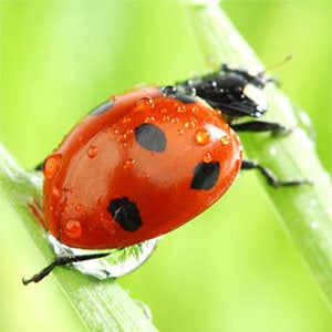 Profile picture for Andrew Smith