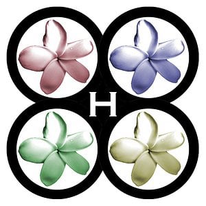 Profile picture for Hawaii Drones
