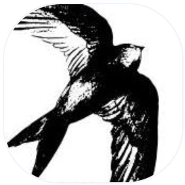 Swift Foundation