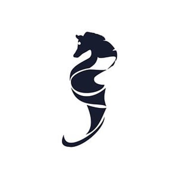 Vimeo profile picture for @schooner
