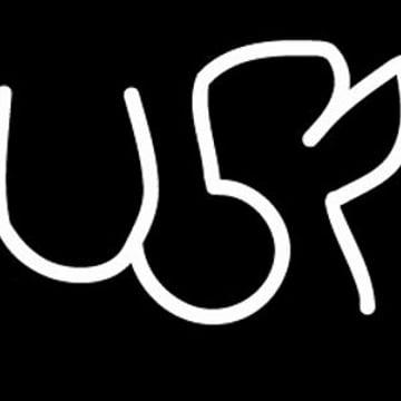 Vimeo profile picture for @usr