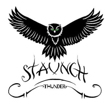 Vimeo profile picture for @staunch