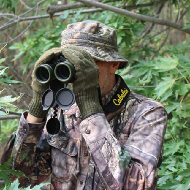 The Tree Spy