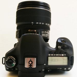 Profile picture for Demetrius Davis
