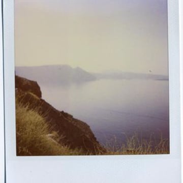 Vimeo profile picture for @allies