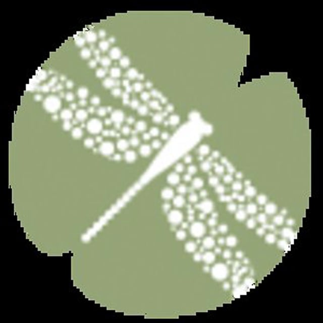 Delta Care Rx on Vimeo