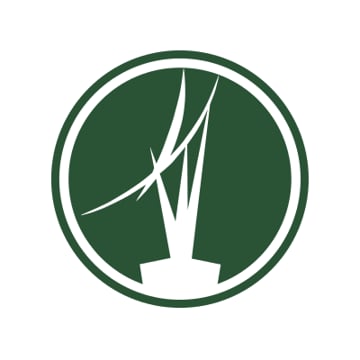 Vimeo profile picture for @birmingham