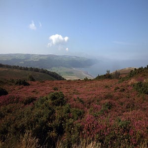 Profile picture for Digital Exmoor