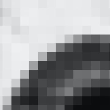 Vimeo profile picture for @noyfb