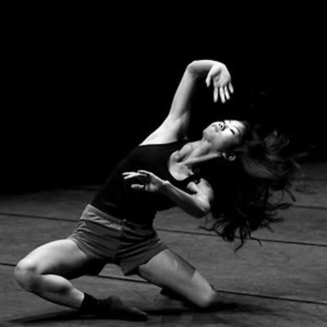 Springboard Danse Montréal