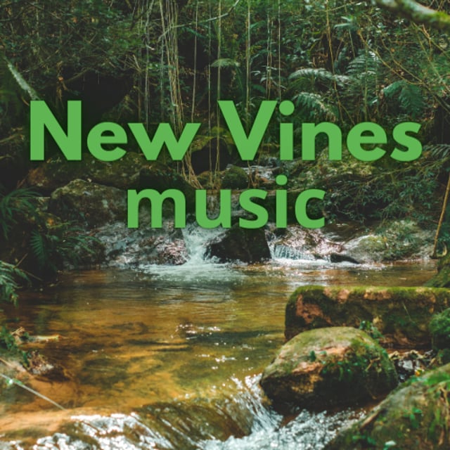 New Vines Music