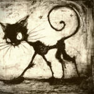 Profile picture for amerigovespuci
