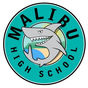 Profile picture for MHS film