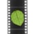 Wild Leaf Reels