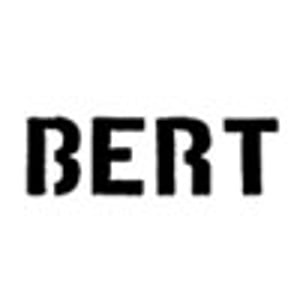 Profile picture for BERT ART