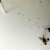cie public in private-