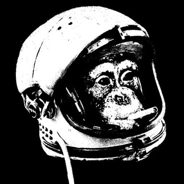 space monkey teddy