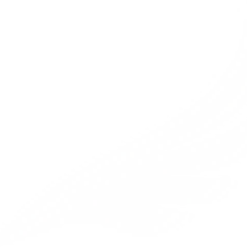 Vimeo profile picture for @whitewing