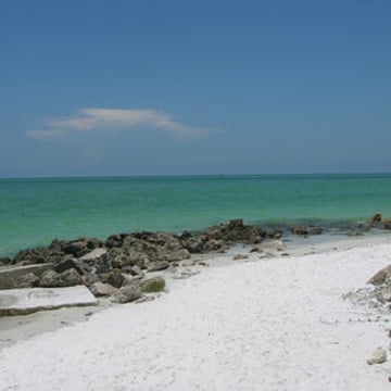 Vimeo profile picture for @sarasota