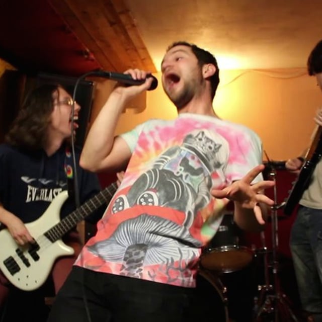 The Boom Dogs