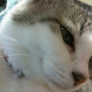 Profile picture for Haru9218