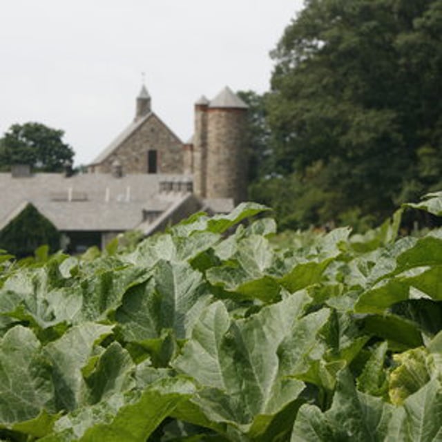 Stone Barns Center On Vimeo