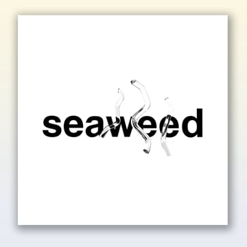 Vimeo profile picture for @seaweed