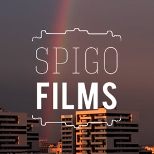 Profile picture for Spigo Films
