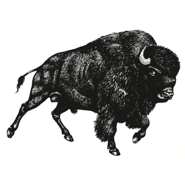 Buffalo Pictures