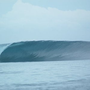 Profile picture for Bruno Pereira