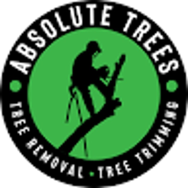 Absolute Trees