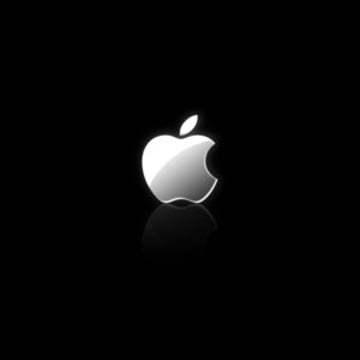 Vimeo profile picture for @fikri