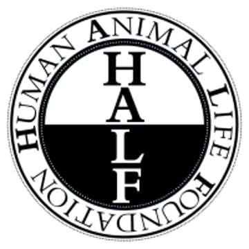 Vimeo profile picture for @half