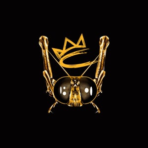 Profile picture for DirectorCricket "The Visionary"