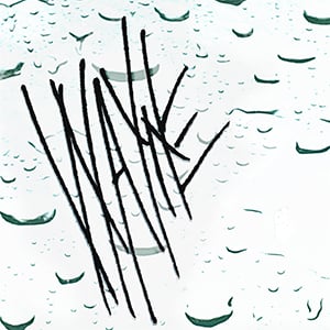 Profile picture for Wayne