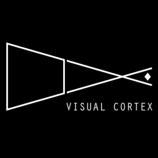visualCortex