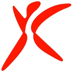Profile picture for IPMA YOUNG CREW
