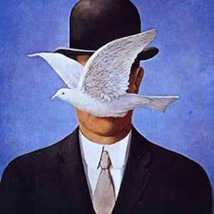Profile picture for Daniele S. Arca