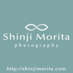 Profile picture for Shinji Morita