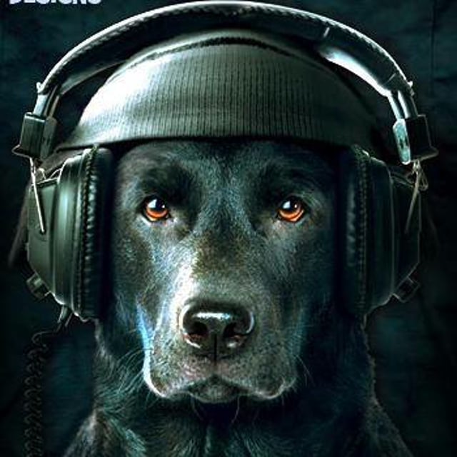 Smart Dogz Prod
